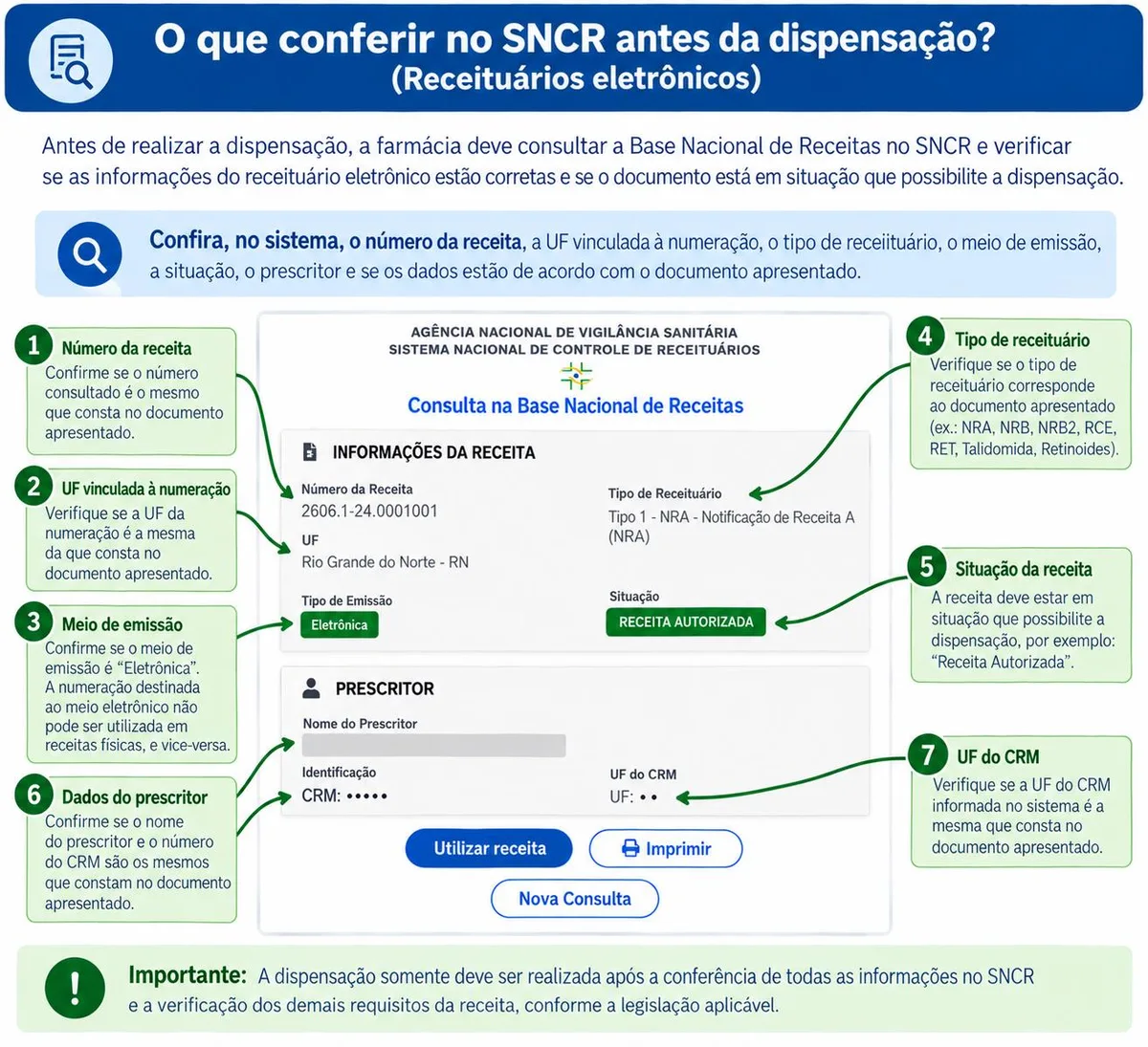 Tela de consulta do SNCR com os campos a conferir em uma receita eletrônica